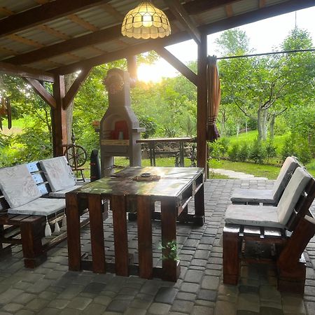 Hotel Окремий Будинок-Апартаменти Rakoshyno Dış mekan fotoğraf
