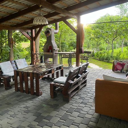 Hotel Окремий Будинок-Апартаменти Rakoshyno Dış mekan fotoğraf