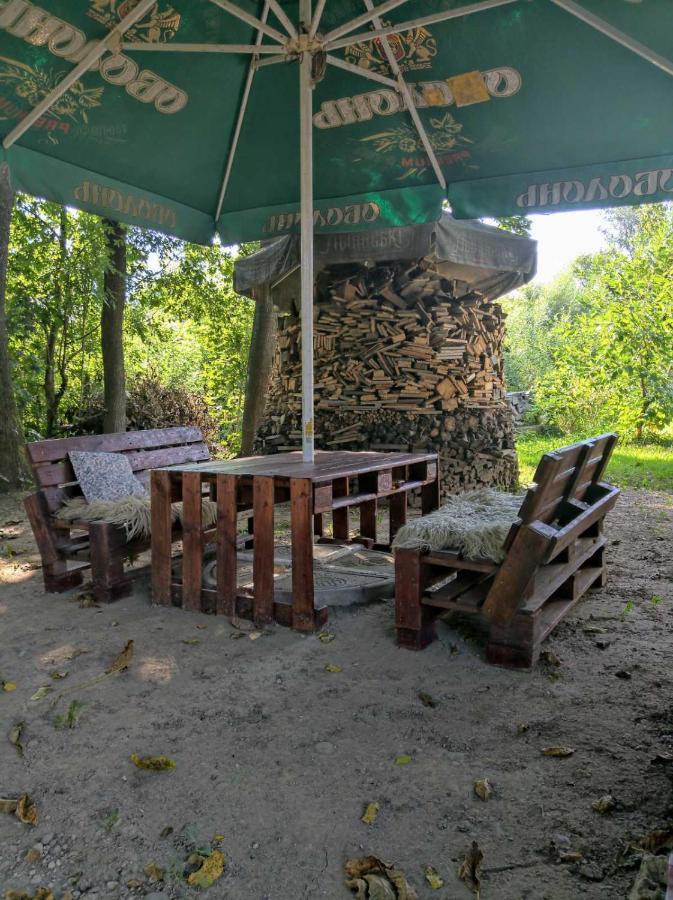 Hotel Окремий Будинок-Апартаменти Rakoshyno Dış mekan fotoğraf