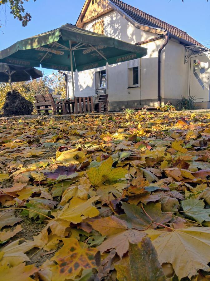 Hotel Окремий Будинок-Апартаменти Rakoshyno Dış mekan fotoğraf