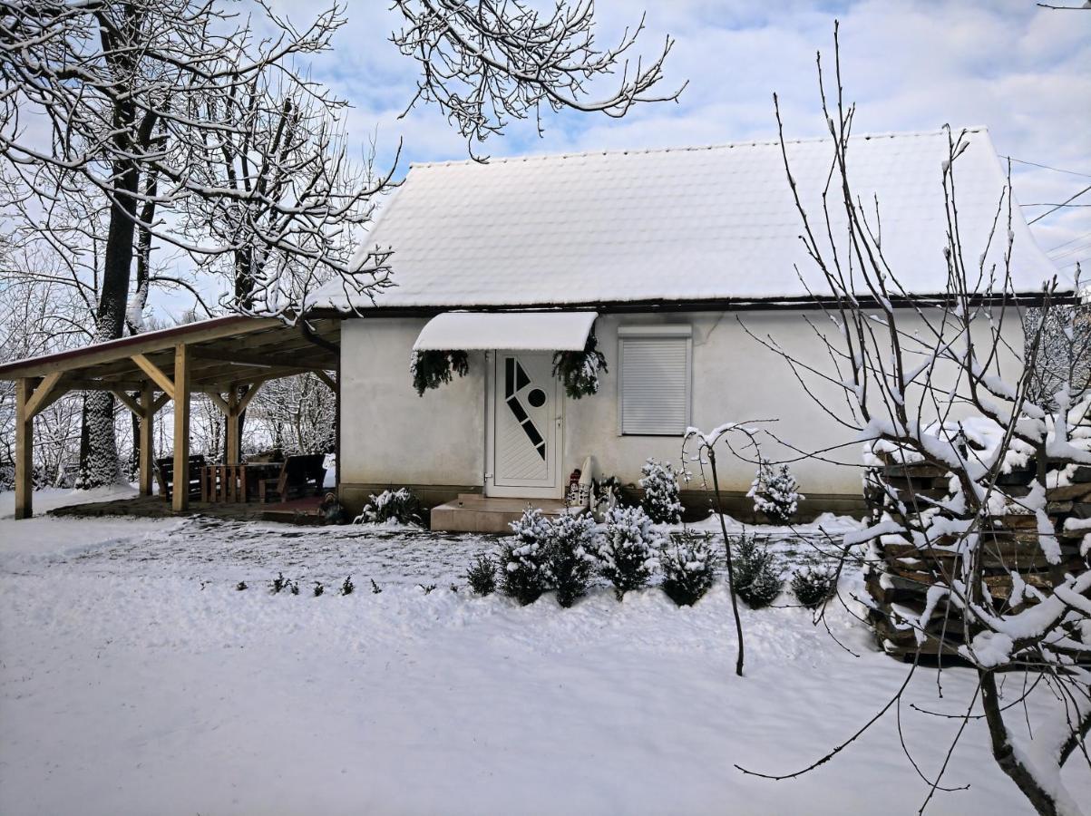 Hotel Окремий Будинок-Апартаменти Rakoshyno Dış mekan fotoğraf