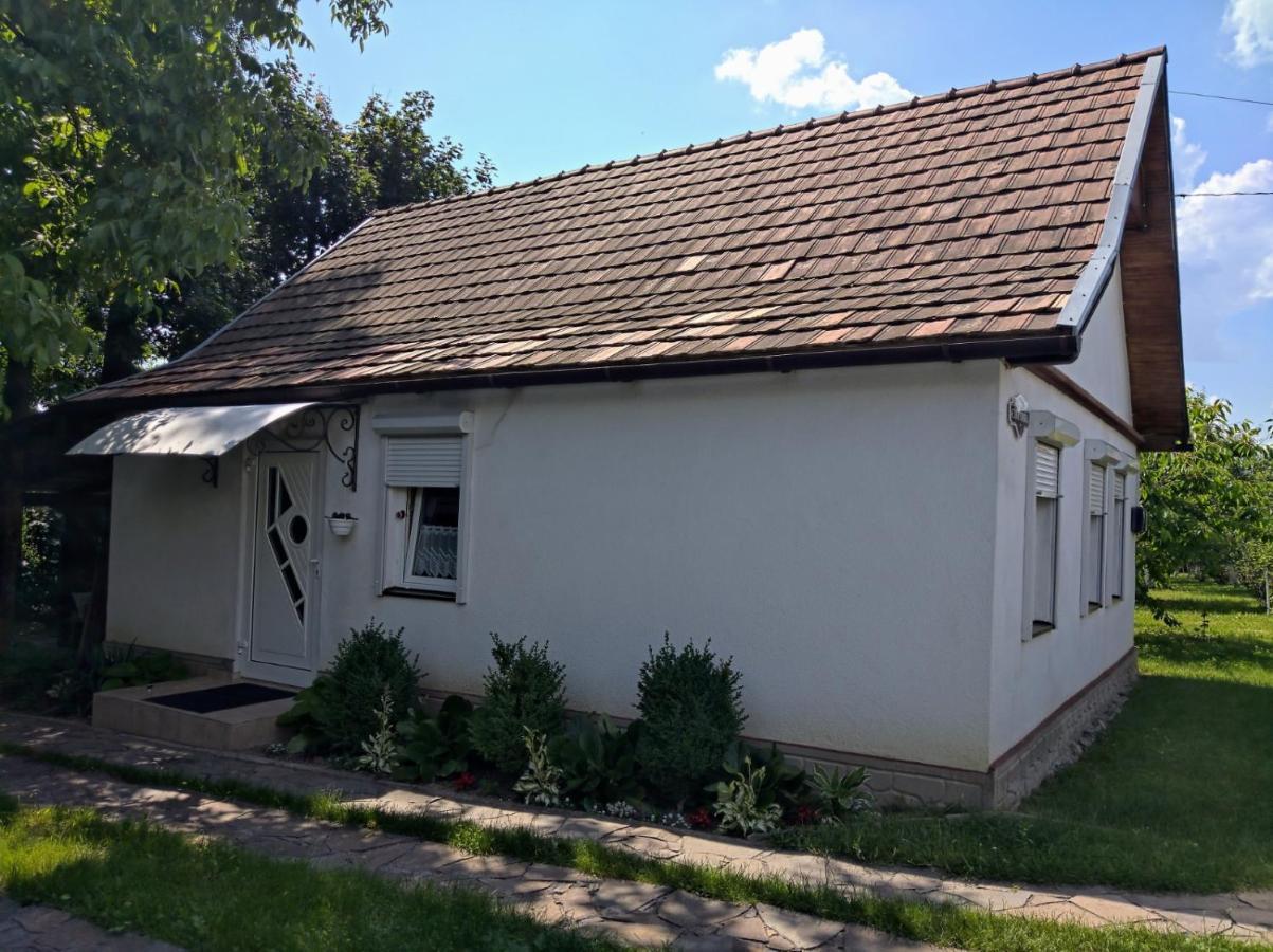 Hotel Окремий Будинок-Апартаменти Rakoshyno Dış mekan fotoğraf