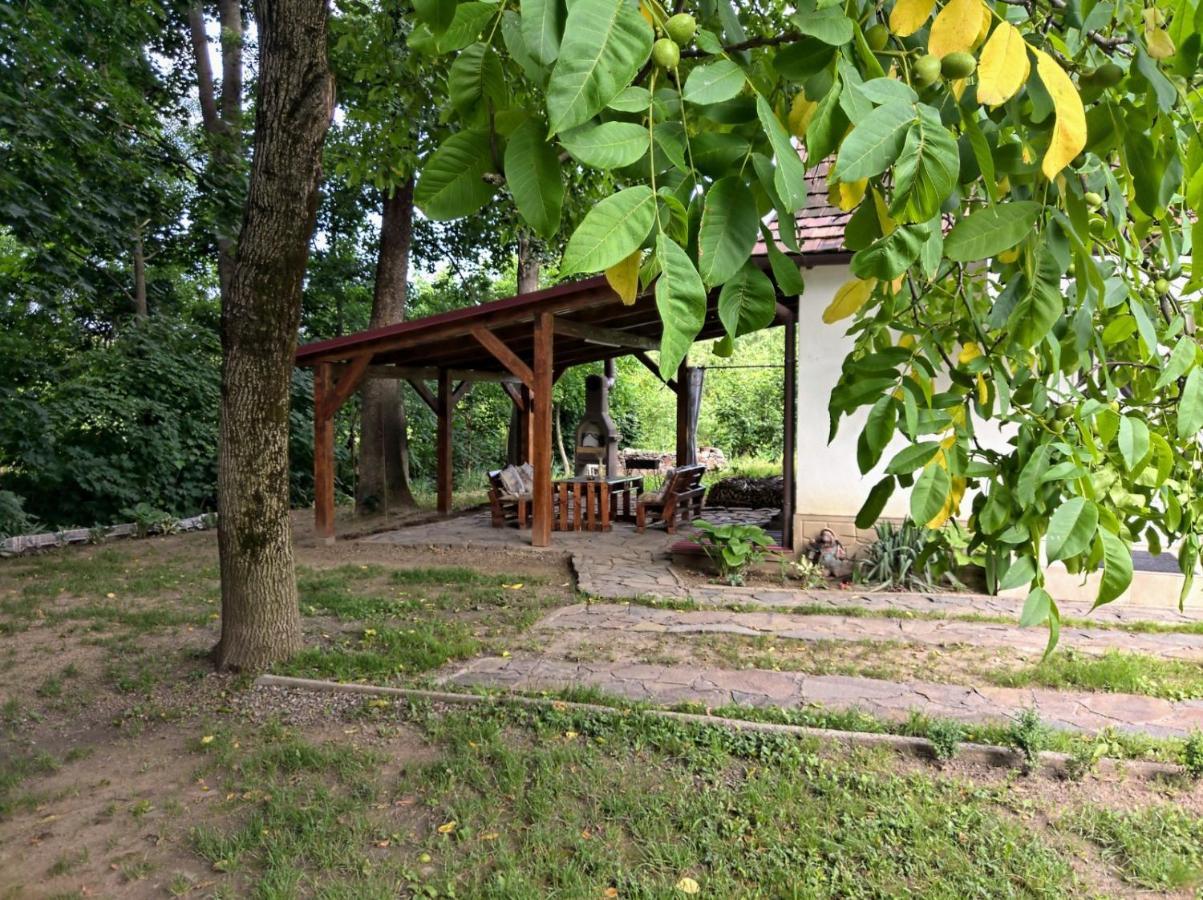 Hotel Окремий Будинок-Апартаменти Rakoshyno Dış mekan fotoğraf